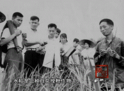 1621695896930026291.gif 微信图片_20210522230214.gif
