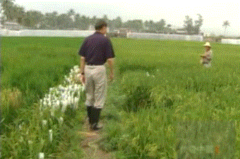 1621696302632047228.gif 微信图片_20210522230253.gif