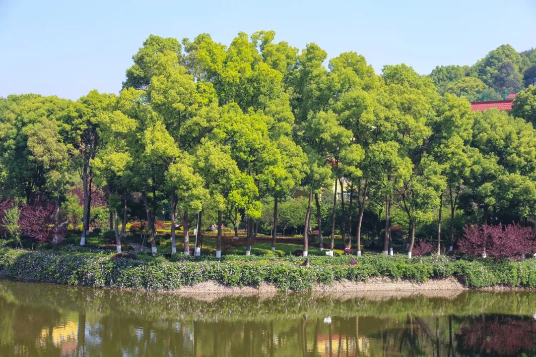 IMG_1124.JPG 图片