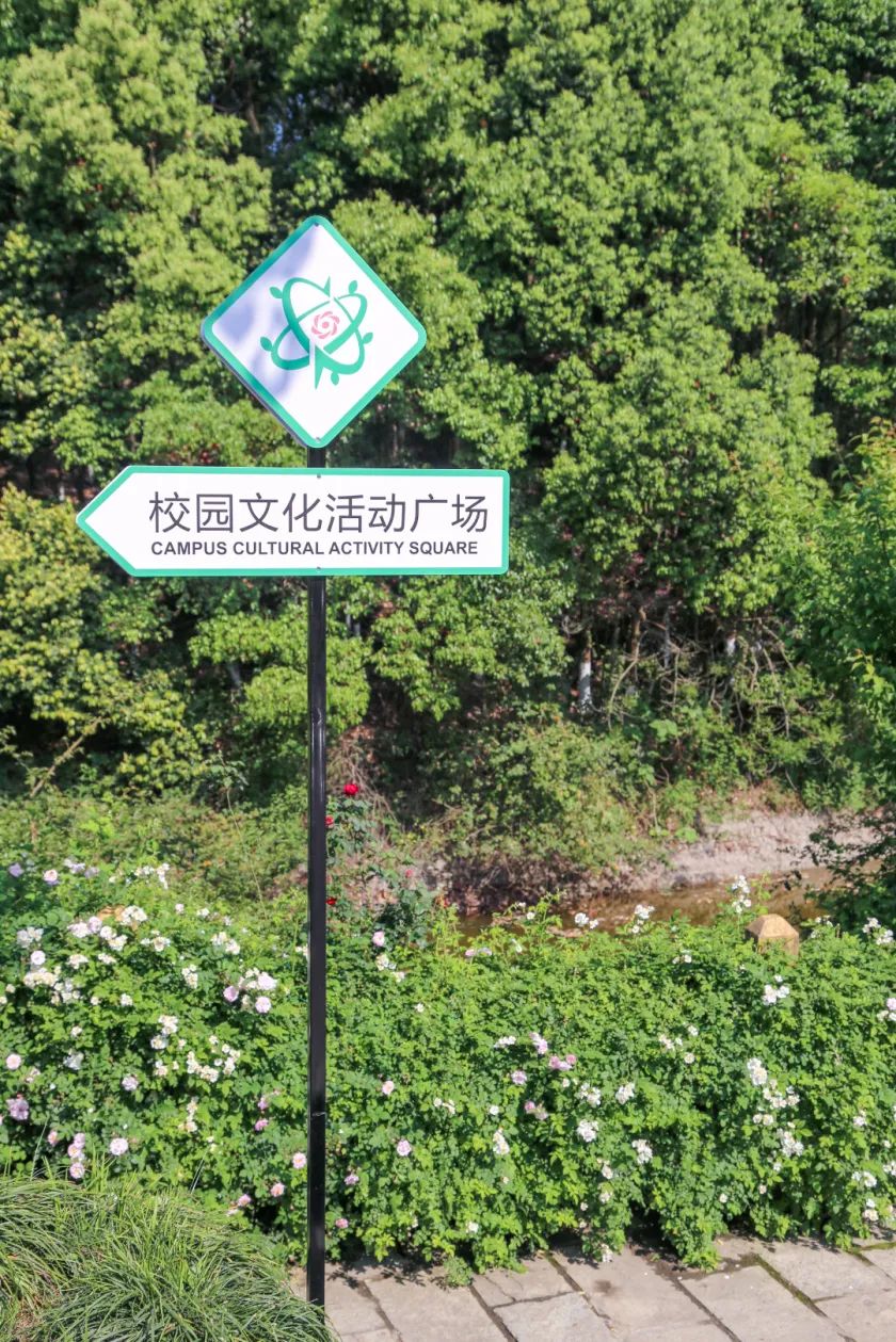 IMG_1111.JPG 图片