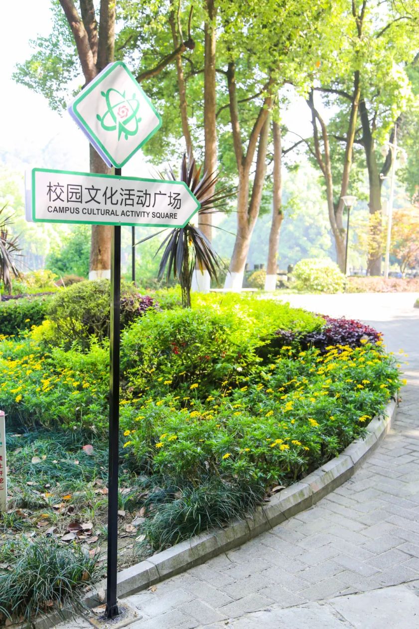 IMG_1127.JPG 图片