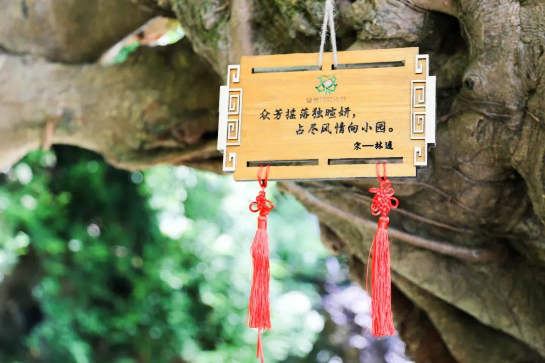 IMG_1159.JPG 图片