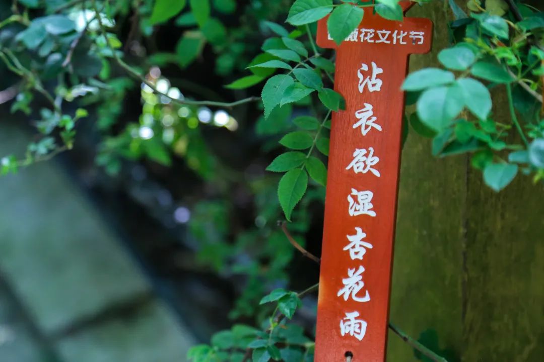 IMG_1150.JPG 图片